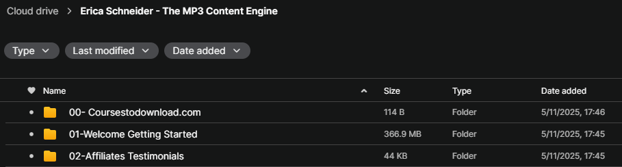 Erica Schneider - The MP3 Content Engine
