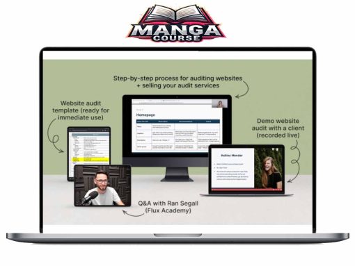 Danbee Shin - Website Audit Masterclass Download