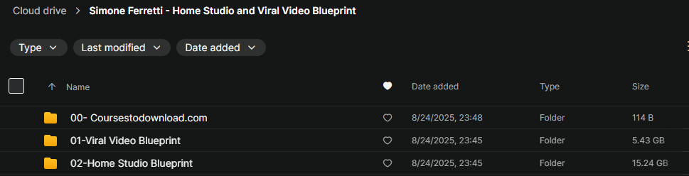 Simone Ferretti - Home Studio and Viral Video Blueprint